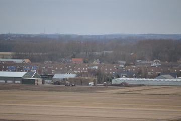 DSC 3515