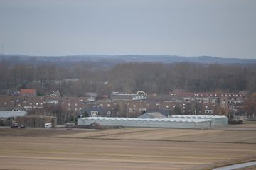 DSC 3516