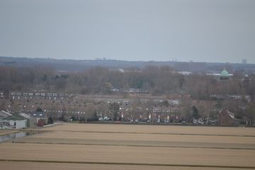 DSC 3520