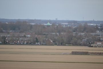 DSC 3523