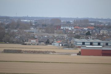DSC 3525