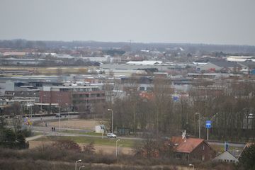 DSC 3554
