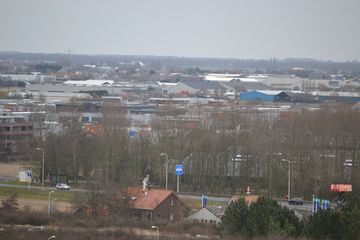 DSC 3555