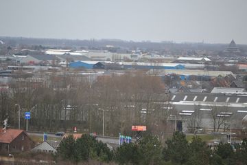 DSC 3556