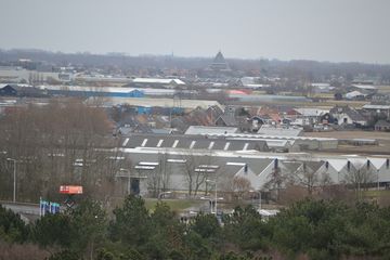 DSC 3557