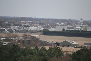 DSC 3560