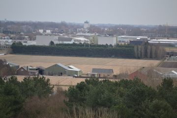 DSC 3561