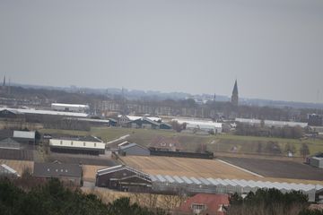 DSC 3563