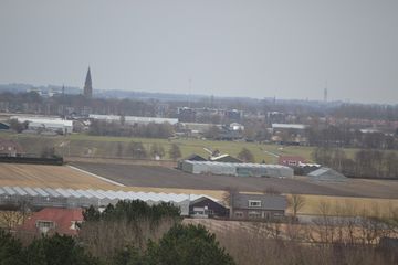 DSC 3565