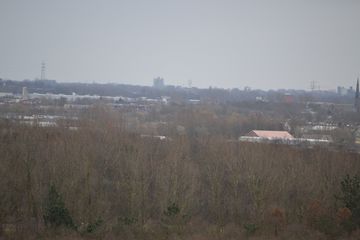 DSC 3575