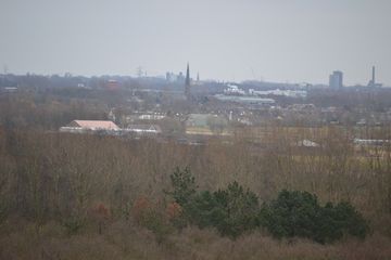 DSC 3576