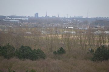 DSC 3577