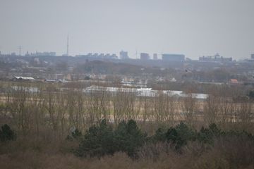 DSC 3578