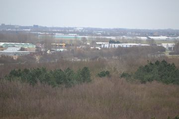 DSC 3584
