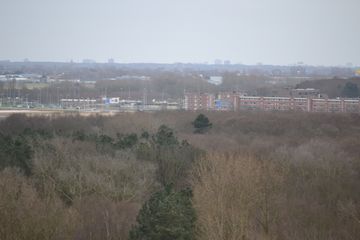 DSC 3587
