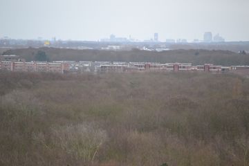 DSC 3589