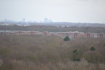 DSC 3590