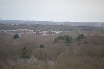 DSC 3591