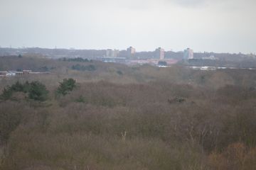 DSC 3592