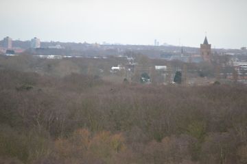 DSC 3593