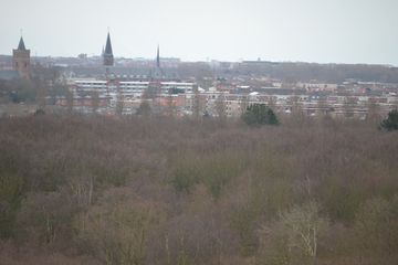 DSC 3594