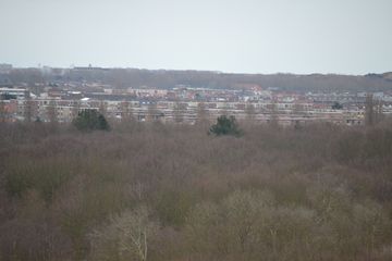 DSC 3595