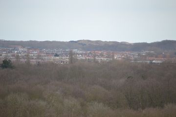 DSC 3596