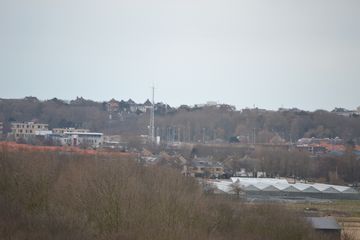 DSC 3599
