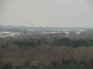 LH025