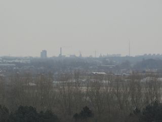 LH036