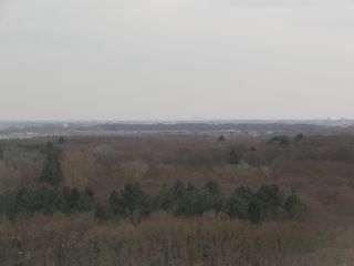 LH038