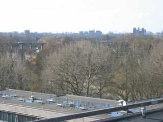 img 9786
