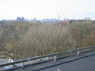 img 9787