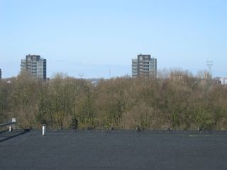 img 9789