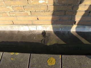 IMG 0397