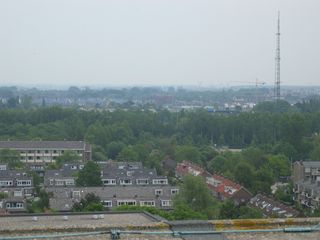 IMG 1102