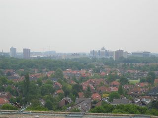 IMG 1105