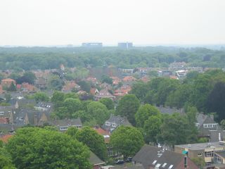 IMG 1107