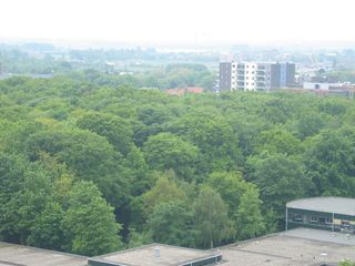 IMG 1108