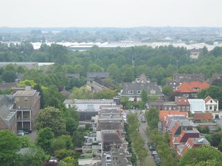 IMG 1111