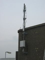 IMG 1113