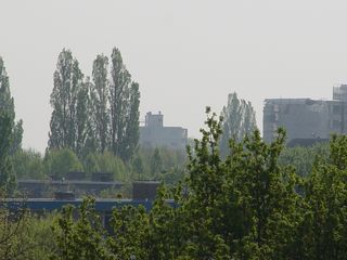 DSC07072