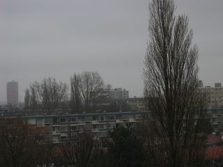 img 9768