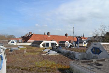 DSC 4455