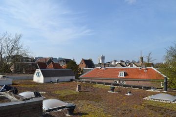 DSC 4463