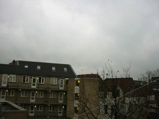 img 0215