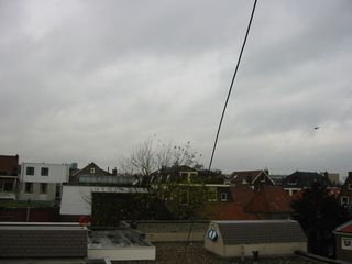 img 0217