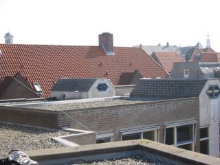 img 0519