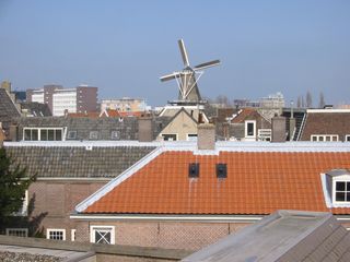 img 0524