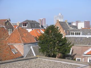 img 0525